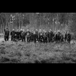 BR--176