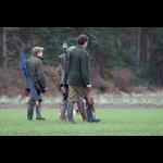 Brackenfield 161113-11