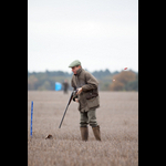 Brackenfield 161113-111