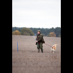 Brackenfield 161113-112
