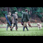 Brackenfield 161113-12