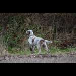 Brackenfield 161113-123