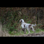 Brackenfield 161113-124