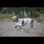 Brackenfield 161113-132