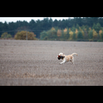 Brackenfield 161113-135