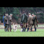 Brackenfield 161113-14