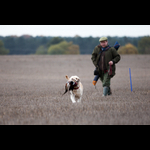 Brackenfield 161113-141