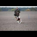 Brackenfield 161113-142
