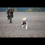 Brackenfield 161113-143