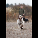 Brackenfield 161113-147