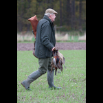 Brackenfield 161113-15