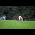 Brackenfield 161113-170