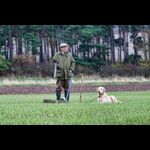 Brackenfield 161113-2