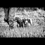 Brackenfield 161113-27