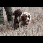 Brackenfield 161113-29