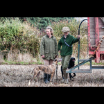 Brackenfield 161113-31