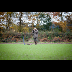 Brackenfield 161113-38