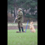 Brackenfield 161113-53