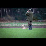 Brackenfield 161113-57