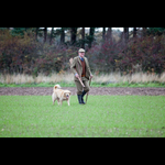 Brackenfield 161113-60