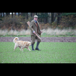Brackenfield 161113-61