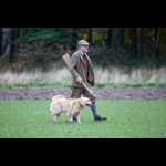 Brackenfield 161113-62