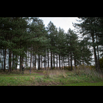 Brackenfield 161113-63