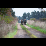 Brackenfield 161113-69