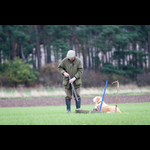 Brackenfield 161113-7