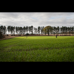Brackenfield 161113-70