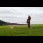Brackenfield 161113-73