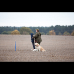 Brackenfield 161113-74