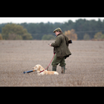 Brackenfield 161113-78