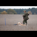Brackenfield 161113-79