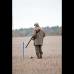 Brackenfield 161113-81