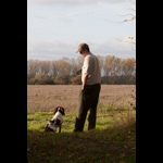 Brackenfield 161113-206