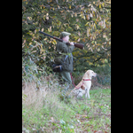 Brackenfield 161113-208