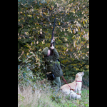 Brackenfield 161113-209