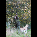 Brackenfield 161113-210