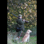 Brackenfield 161113-213