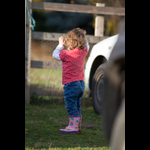 Brackenfield 161113-218