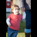 Brackenfield 161113-228