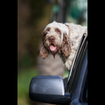 Brackenfield 161113-261