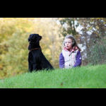 Brackenfield 161113-281