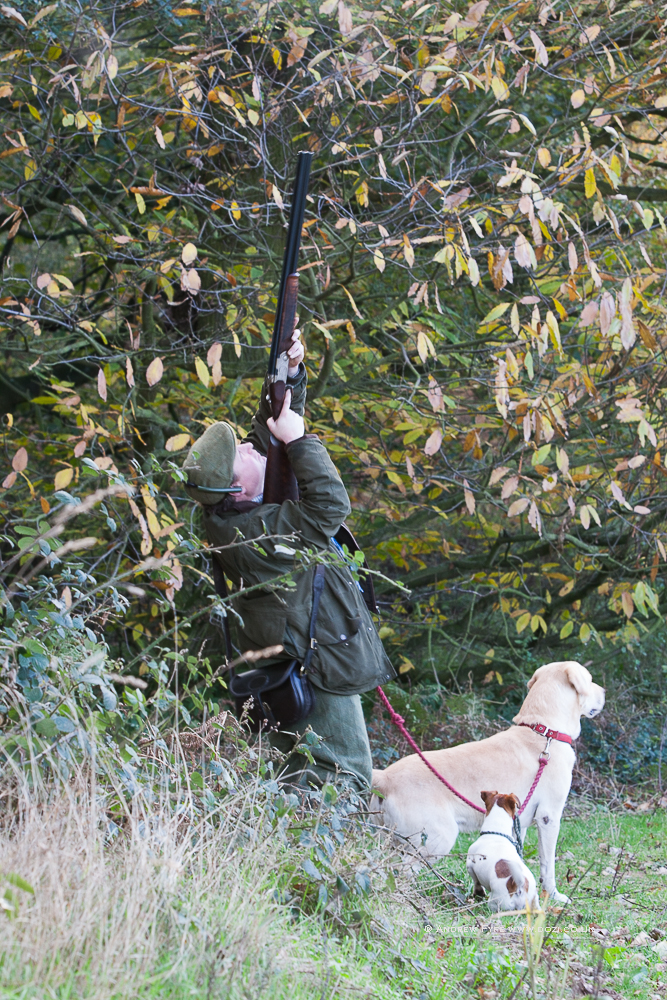 Brackenfield 161113-210