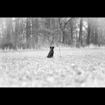 WR180114-80