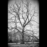 RSS070117-184
