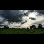 Riverside 041117-108