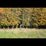 Riverside 041117-126