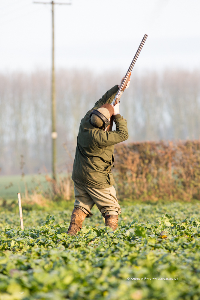WR221217-14